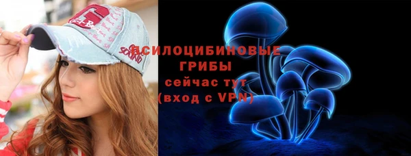спиды Белокуриха
