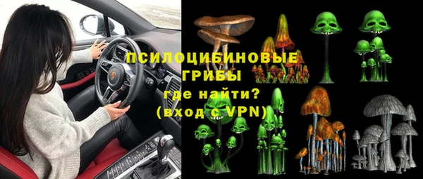 спиды Белокуриха