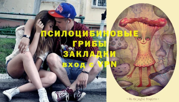 ПСИЛОЦИБИНОВЫЕ ГРИБЫ Баксан